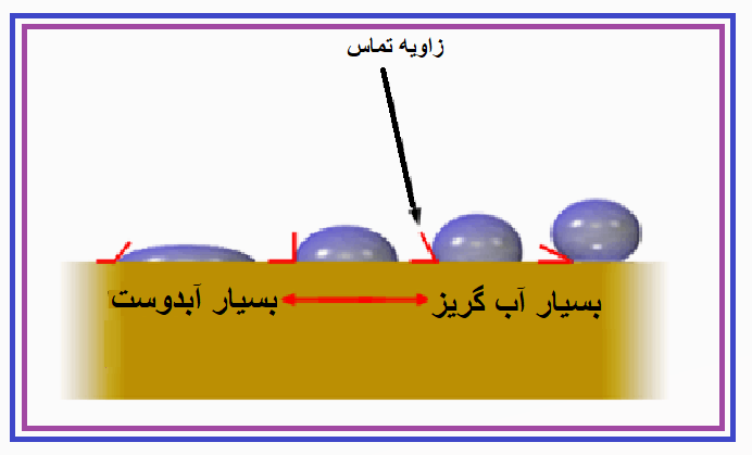 کلکتور